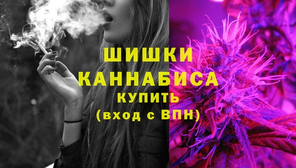 стаф Бугульма