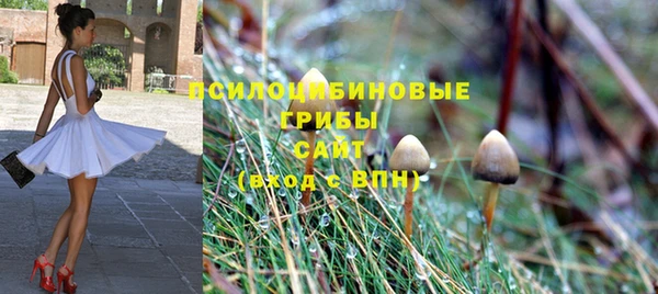 стаф Бугульма
