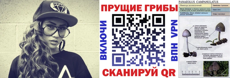 Псилоцибиновые грибы MAGIC MUSHROOMS Славгород