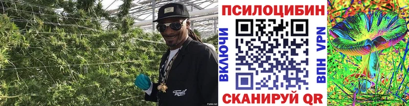 Псилоцибиновые грибы GOLDEN TEACHER  Купить  Славгород 